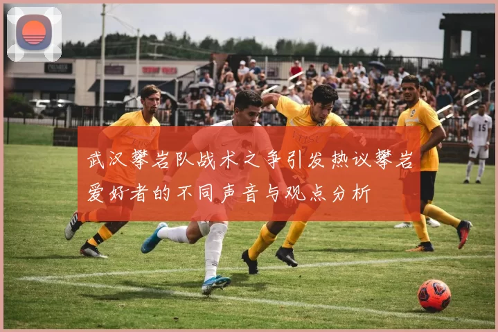 武汉攀岩队战术之争引发热议攀岩爱好者的不同声音与观点分析