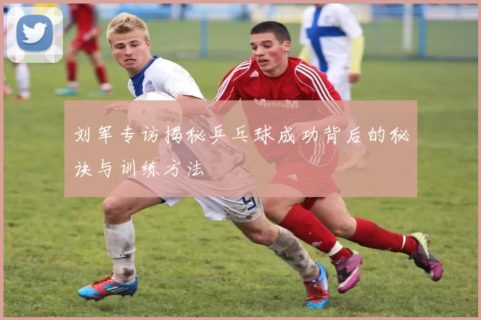刘军专访揭秘乒乓球成功背后的秘诀与训练方法
