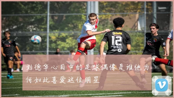 刘德华心目中的足球偶像是谁他为何如此喜爱这位明星