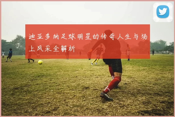 迪亚多纳足球明星的传奇人生与场上风采全解析