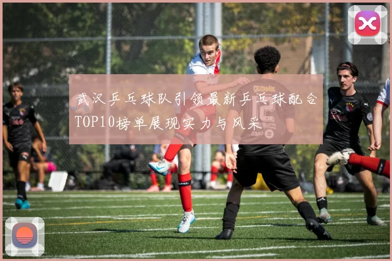 武汉乒乓球队引领最新乒乓球配合TOP10榜单展现实力与风采