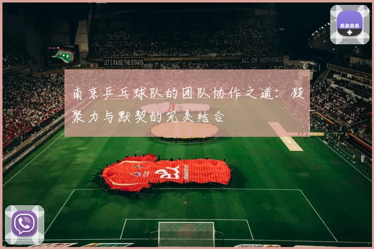 南京乒乓球队的团队协作之道：凝聚力与默契的完美结合