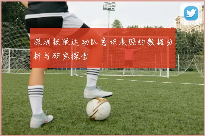 深圳极限运动队意识表现的数据分析与研究探索