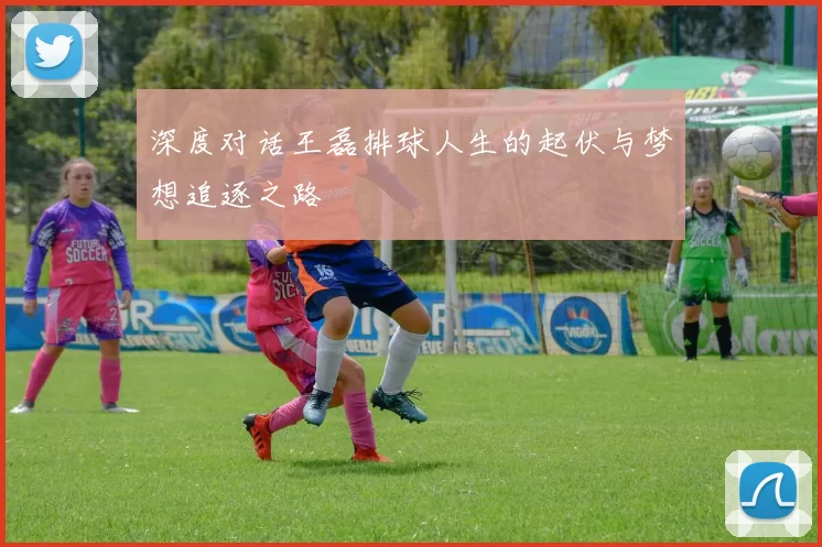 深度对话王磊排球人生的起伏与梦想追逐之路