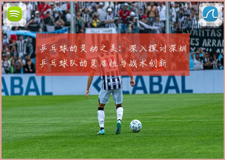 乒乓球的灵动之美：深入探讨深圳乒乓球队的灵活性与战术创新
