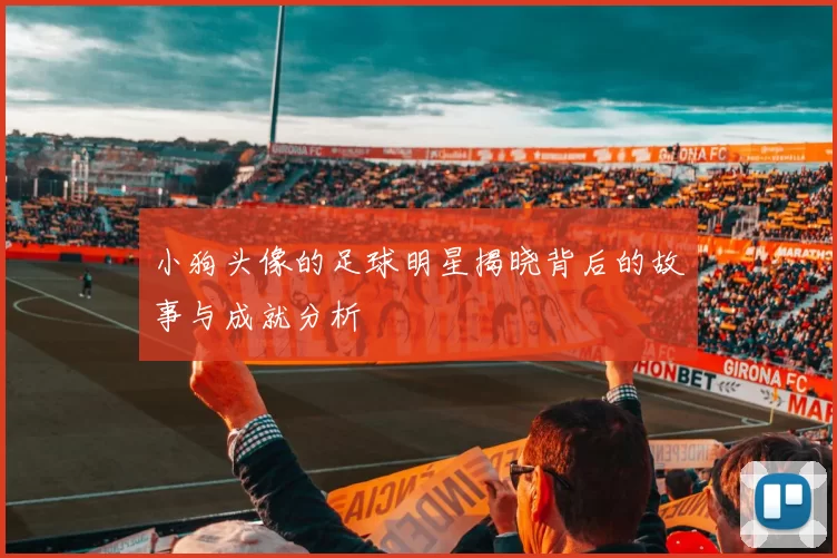小狗头像的足球明星揭晓背后的故事与成就分析