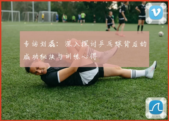 专访刘磊：深入探讨乒乓球背后的成功秘诀与训练心得