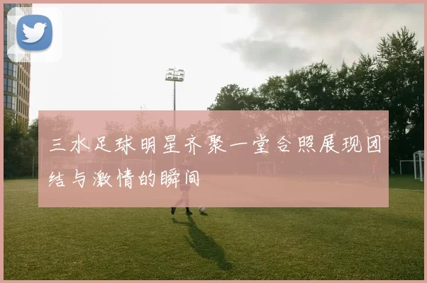 三水足球明星齐聚一堂合照展现团结与激情的瞬间