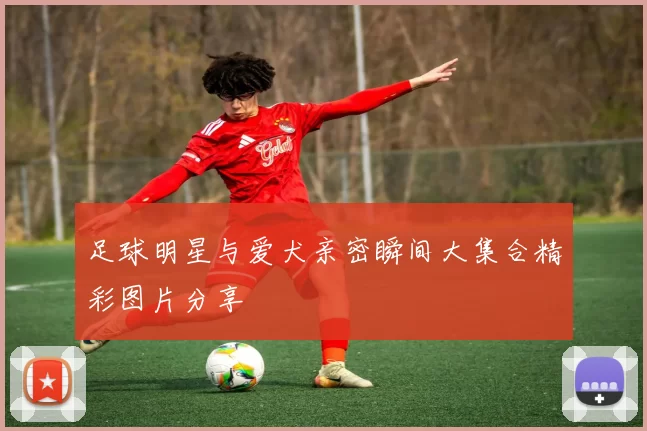足球明星与爱犬亲密瞬间大集合精彩图片分享
