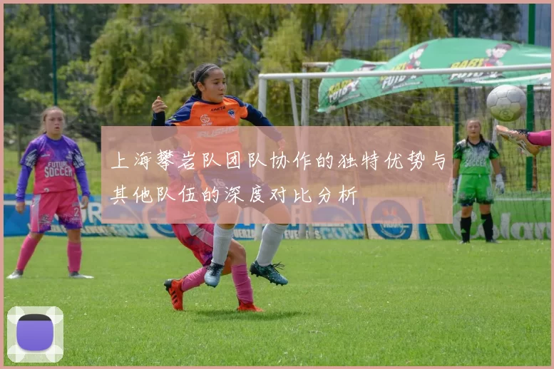 上海攀岩队团队协作的独特优势与其他队伍的深度对比分析