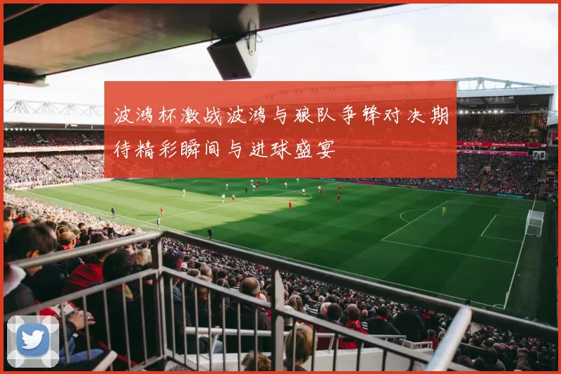 波鸿杯激战波鸿与狼队争锋对决期待精彩瞬间与进球盛宴