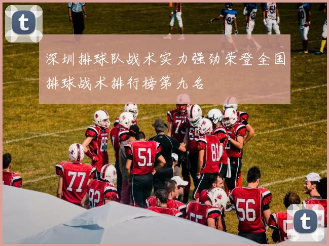深圳排球队战术实力强劲荣登全国排球战术排行榜第九名