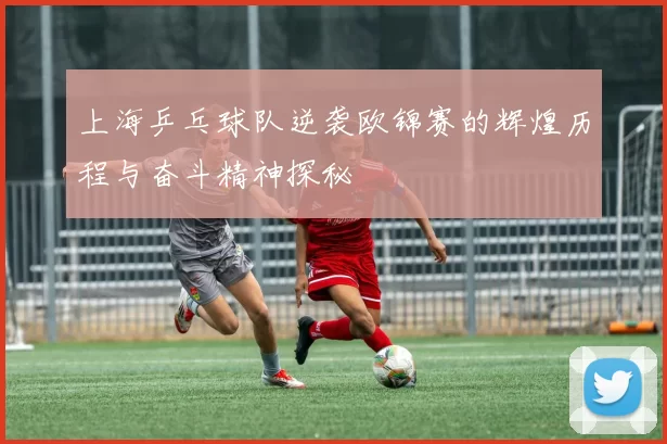 上海乒乓球队逆袭欧锦赛的辉煌历程与奋斗精神探秘