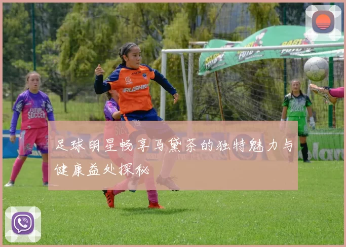 足球明星畅享马黛茶的独特魅力与健康益处探秘