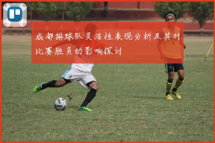 成都排球队灵活性表现分析及其对比赛胜负的影响探讨