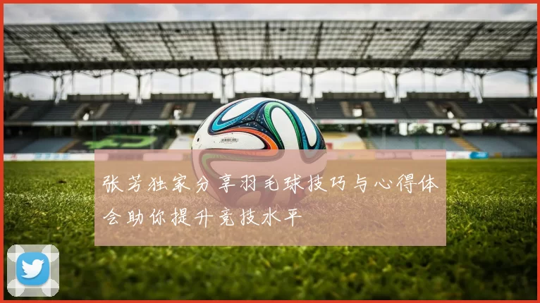 张芳独家分享羽毛球技巧与心得体会助你提升竞技水平